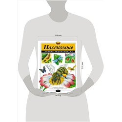 Эксмо Грин Т. "Насекомые. Полная энциклопедия"