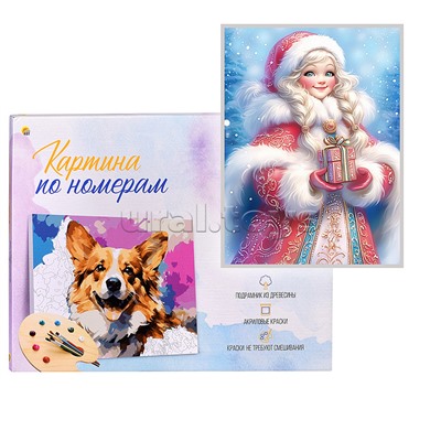 Холст с красками 17х22 по номерам "Беловолосая красавица" в коробке (14цв.)