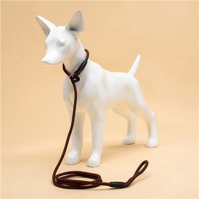 Ринговка для собак, 130×0.6 см, коричневая