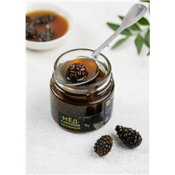 Мед с сосновой шишкой / Cedar Immuno / 100 г / Сибирский кедр