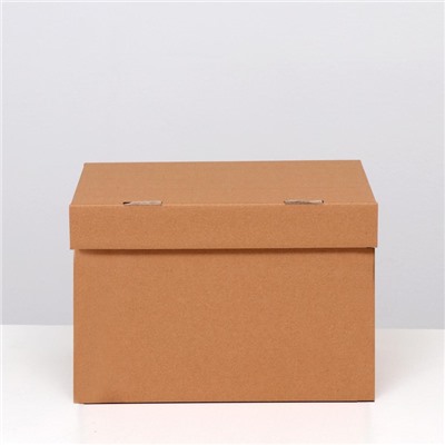 Коробка для хранения "А4", бурая, 32.5×23.5×23.5 см