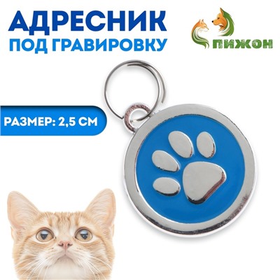 Адресник под гравировку «Лапа», 2.5 см, голубой
