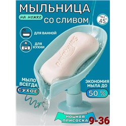 Мыльница #22757075