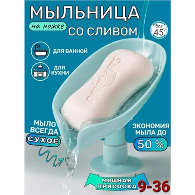 Мыльница #22757075