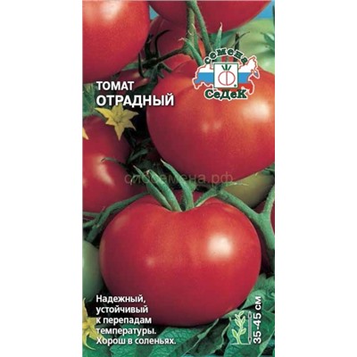 Томат Отрадный (Седек)