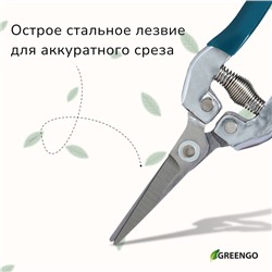 Ножницы садовые, 7" (18 см), с металлическими ручками, обрезиненная ручка, зелёные Greengo