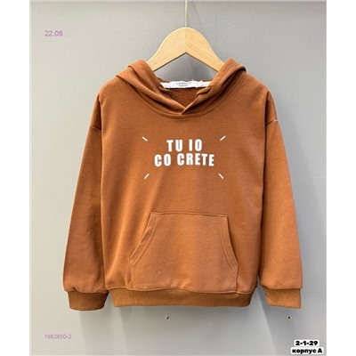Худи 1982850-2