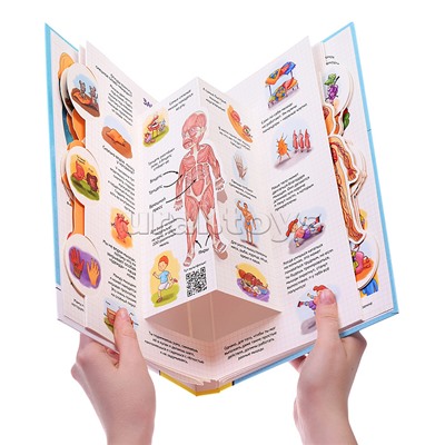 Энциклопедия 3Д "Секреты человека"