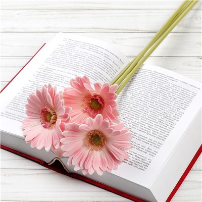 Цветок искусственный Гербера 43 см розовый / 1501 /уп 56/560/ латэкс