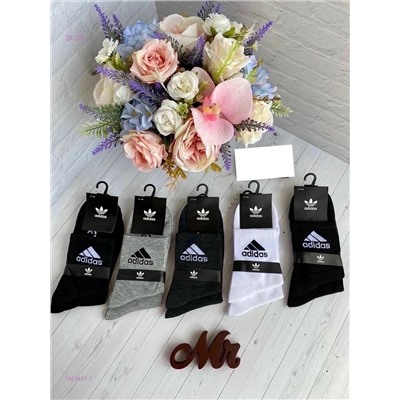 Носки мужские 10 пар 1983481-1