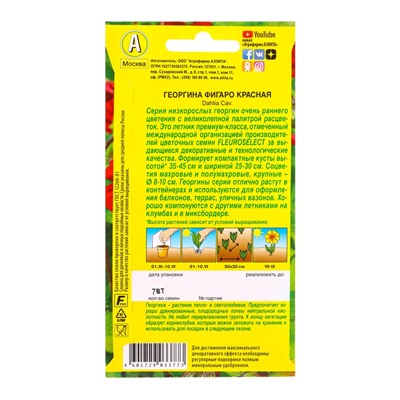 Семена цветов Георгина Фигаро махровая красная , Ц/П,7 шт.
