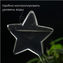 Автополив для комнатных растений «Звезда», 100 мл, ПВХ, Greengo
