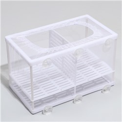 Отсадник большой, 26×15×15 см, с перегородкой и пластиковым дном