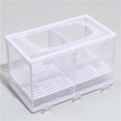 Отсадник большой, 26×15×15 см, с перегородкой и пластиковым дном