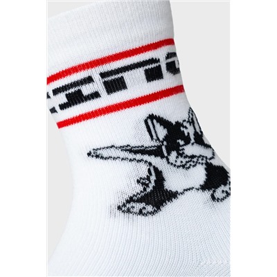 Носки трикотажные для мальчиков, 3 пары в комплекте PLAYTODAY, 1239789