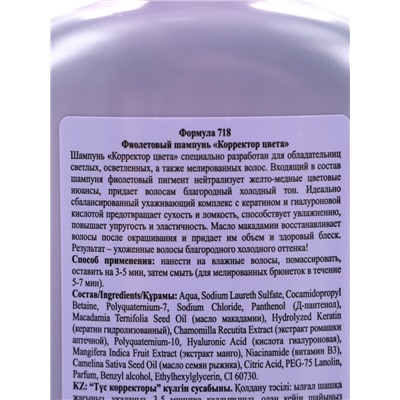 Шампунь для волос Floresan «Корректор цвета» фиолетовый, 400 мл