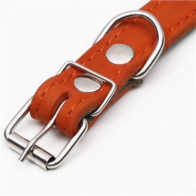 Ошейник комбинированный кожа/брезент, безразмерный, 54×2.5 см, ОШ 17-45 см, рыжий