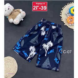 шорты 2053635-3
