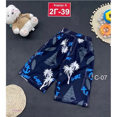 шорты 2053635-3