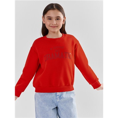 СВИТШОТ ДЛЯ ДЕВОЧЕК 127881/1