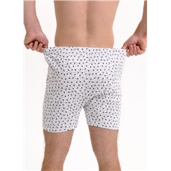 Мужские трусы семейные Berrak