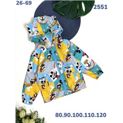 Ветровка 2551 жёлтый