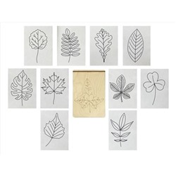 Многоразовая раскраска "Листья деревьев"