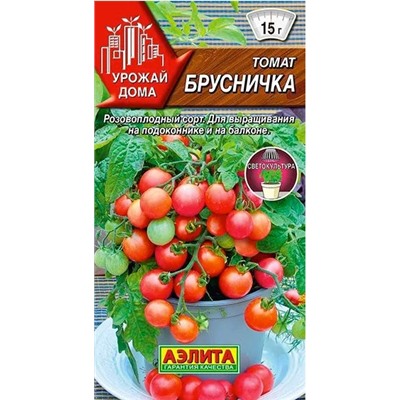 Томат Брусничка комнатный Аэлита