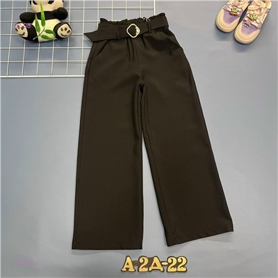 Штаны 1981351-2