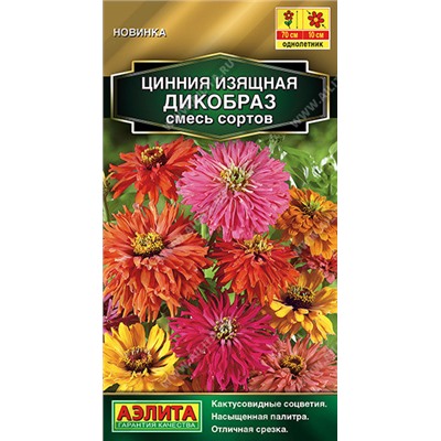 Цинния Дикобраз Аэлита
