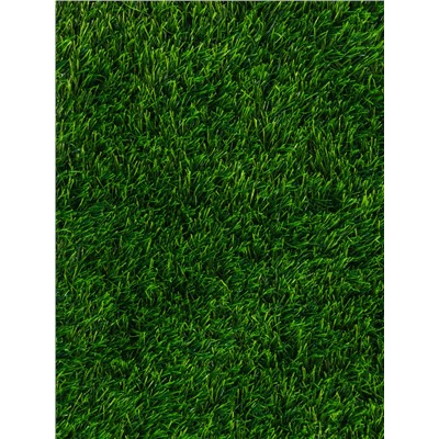 Газон искусственный, с проклейкой, ворс 5 см, 2×25 м, зелёный, Greengo
