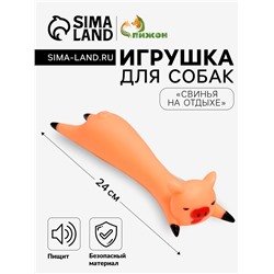 Игрушка для собак «Свинья на отдыхе», 14.5×5 см, пищащая, винил, бежевая