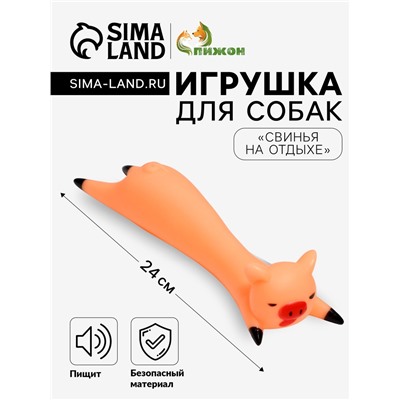 Игрушка для собак «Свинья на отдыхе», 14.5×5 см, пищащая, винил, бежевая