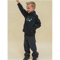 BFJS3335/1 (Джемпер для мальчика, Pelican )