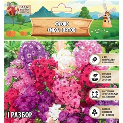 Флокс смесь сортов I, 2 шт, Весна 2025