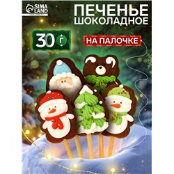 Печенье шоколадное новогоднее на палочке «Зимнее», МИКС, 30 г