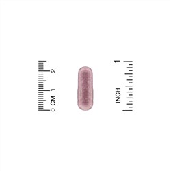 Now Foods, бузина, 500 мг, 120 растительных капсул