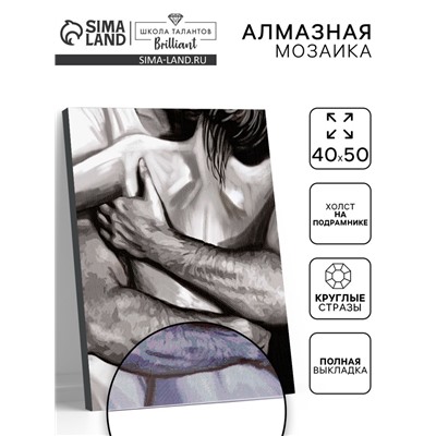 Алмазная вышивка полное заполнение «Пара», на раме, 40×50 см