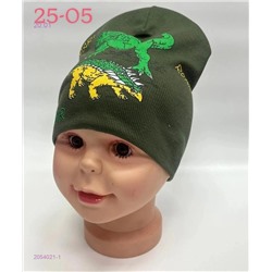 шапка 2054021-1