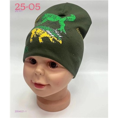 шапка 2054021-1