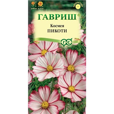 Космея Пикоти (Гавр)