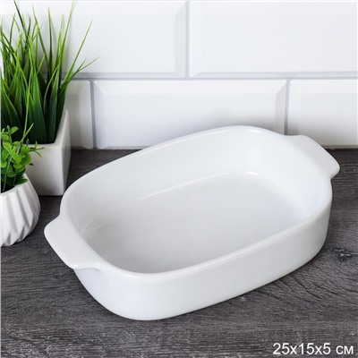 Форма для запекания 25х15х5 см / WE-1298 /уп 20/