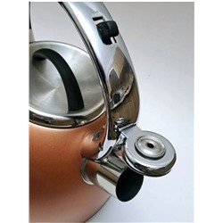 Чайник #22980315