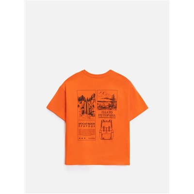 Acoola Футболка 20110510276