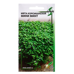 Семена цветов Мята Корсиканская Мини Минт 5 шт