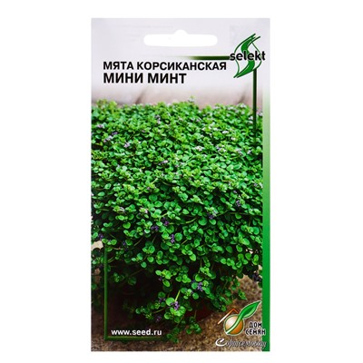 Семена цветов Мята Корсиканская Мини Минт 5 шт