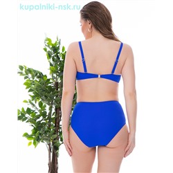 24201-2 Купальник раздельный (48-54)