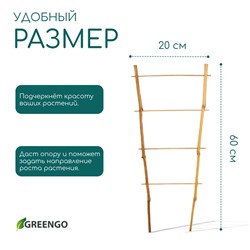 Шпалера, 60×20×1 см, бамбук, «Одинарная», Greengo