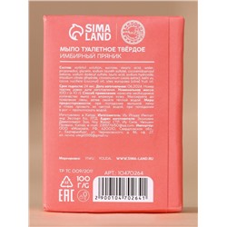 Новогодний подарочный набор косметики «Зимнее чудо»: мыло для рук кусковое 100 г и мочалка для тела, URAL LAB