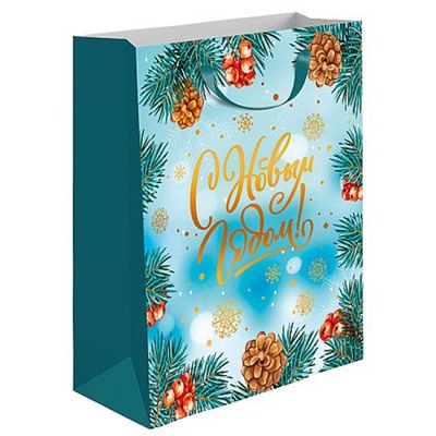 Пакет бумажный 20х24х11,5 см BC НГ мат.лам,тисн.фольг ZULC-UG51-2024-MATF Academy style